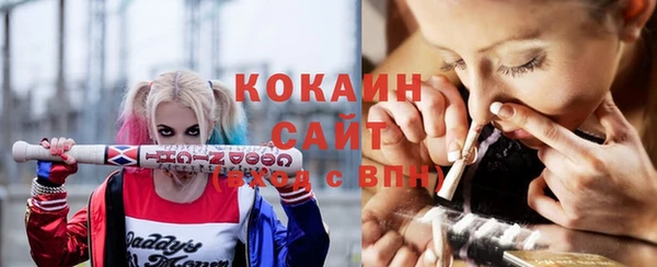 трава Бронницы