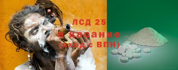 молекула духа Бородино