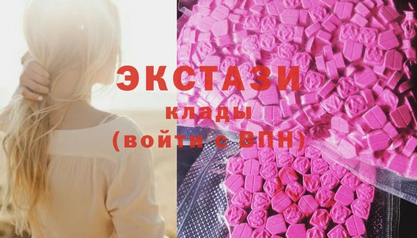 молекула духа Бородино