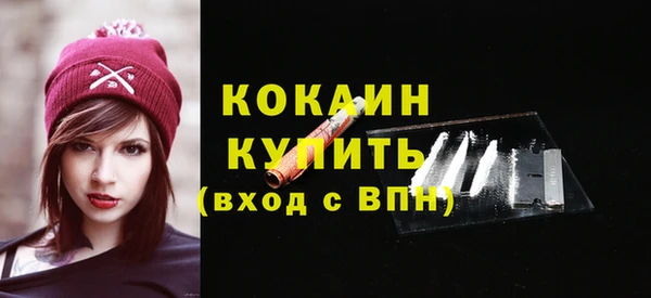 молекула духа Бородино