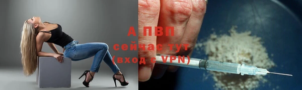 молекула духа Бородино