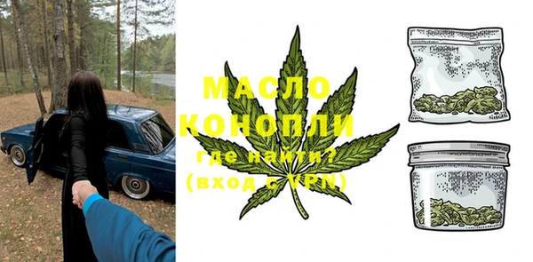 молекула духа Бородино