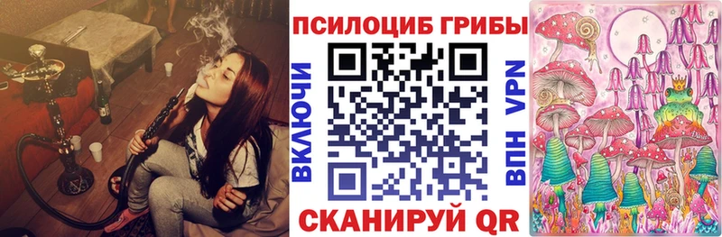 Псилоцибиновые грибы мицелий  Давлеканово 